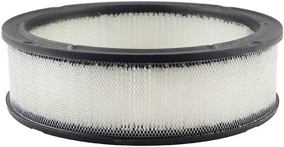 Air Filter Baldwin Filters PA2106